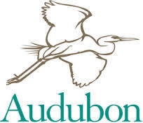 Audubon thumbnail